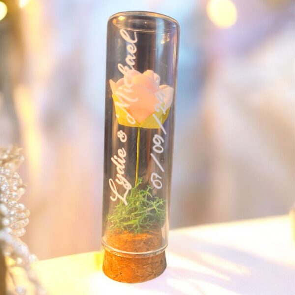 Photoroom_20250412_102117 Tube à essai