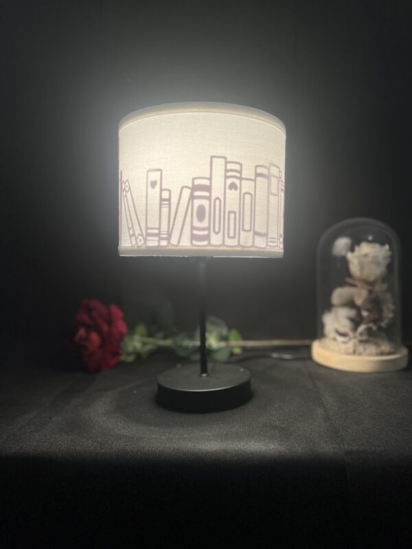 IMG_6647 Abat-jour livres