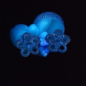 Panpilles margurite  bleu pailleté